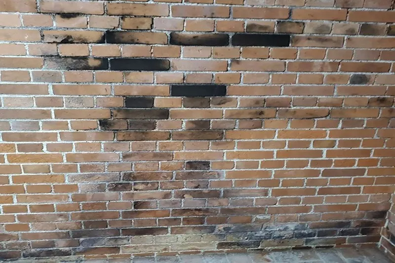 外壁や倉庫内の壁のカビの除去作業