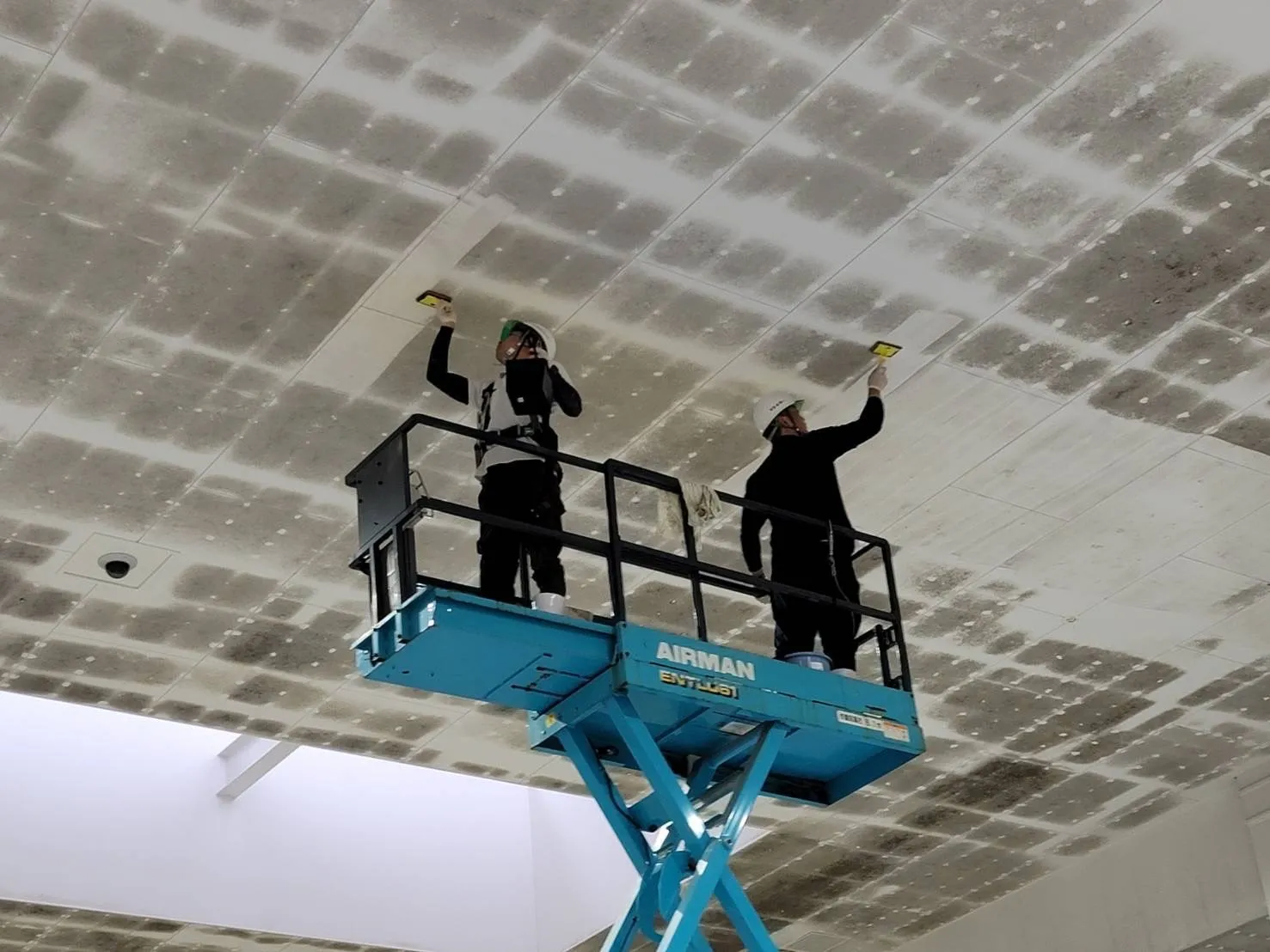 「食品工場の天井カビを根絶！安全かつ効果的な除去法」