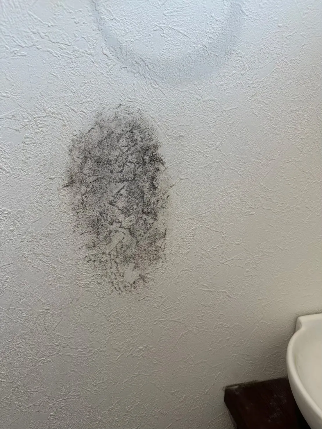 トイレのカビに悩む方へ｜再発しない掃除とプロ施工の違いとは？